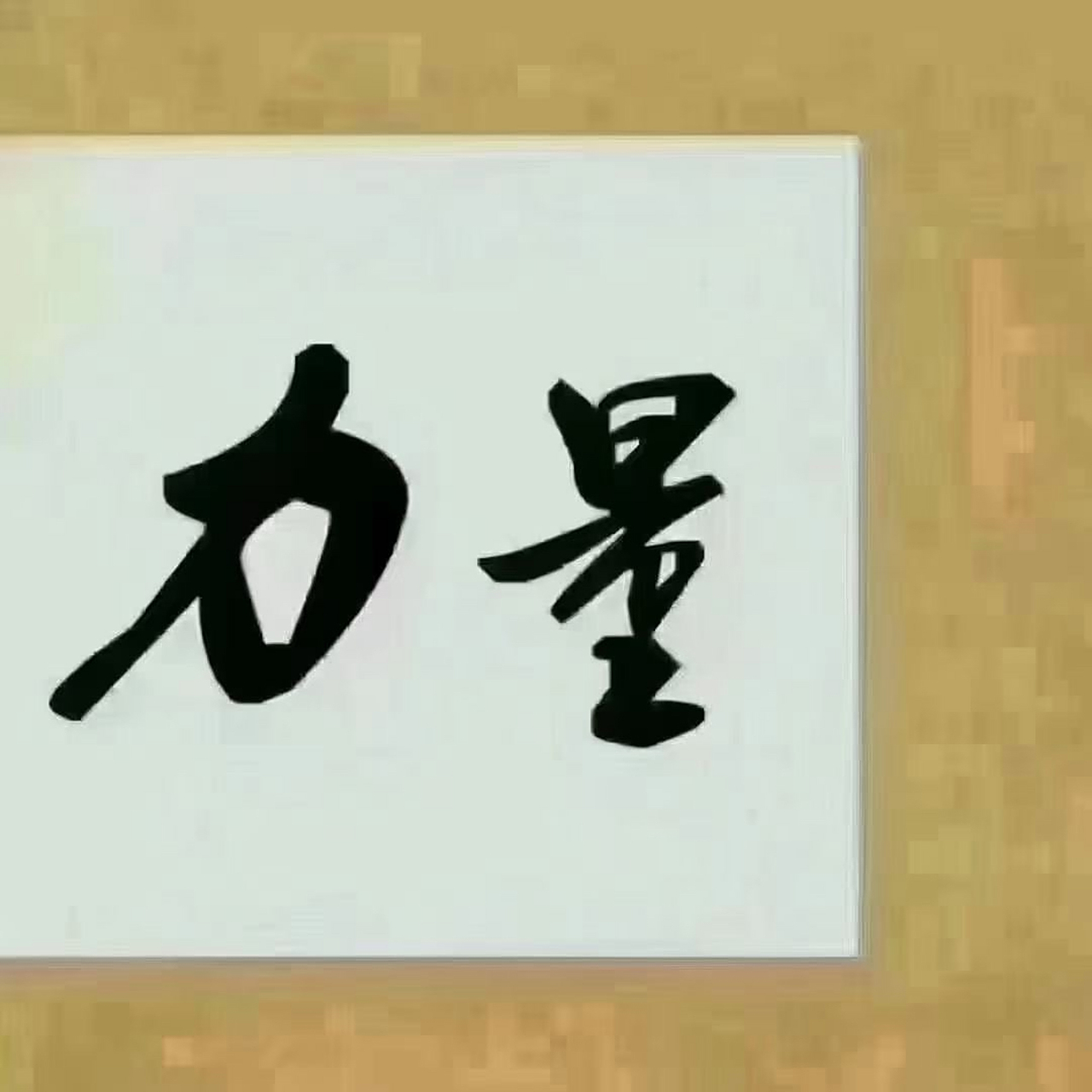 相信专业的力量