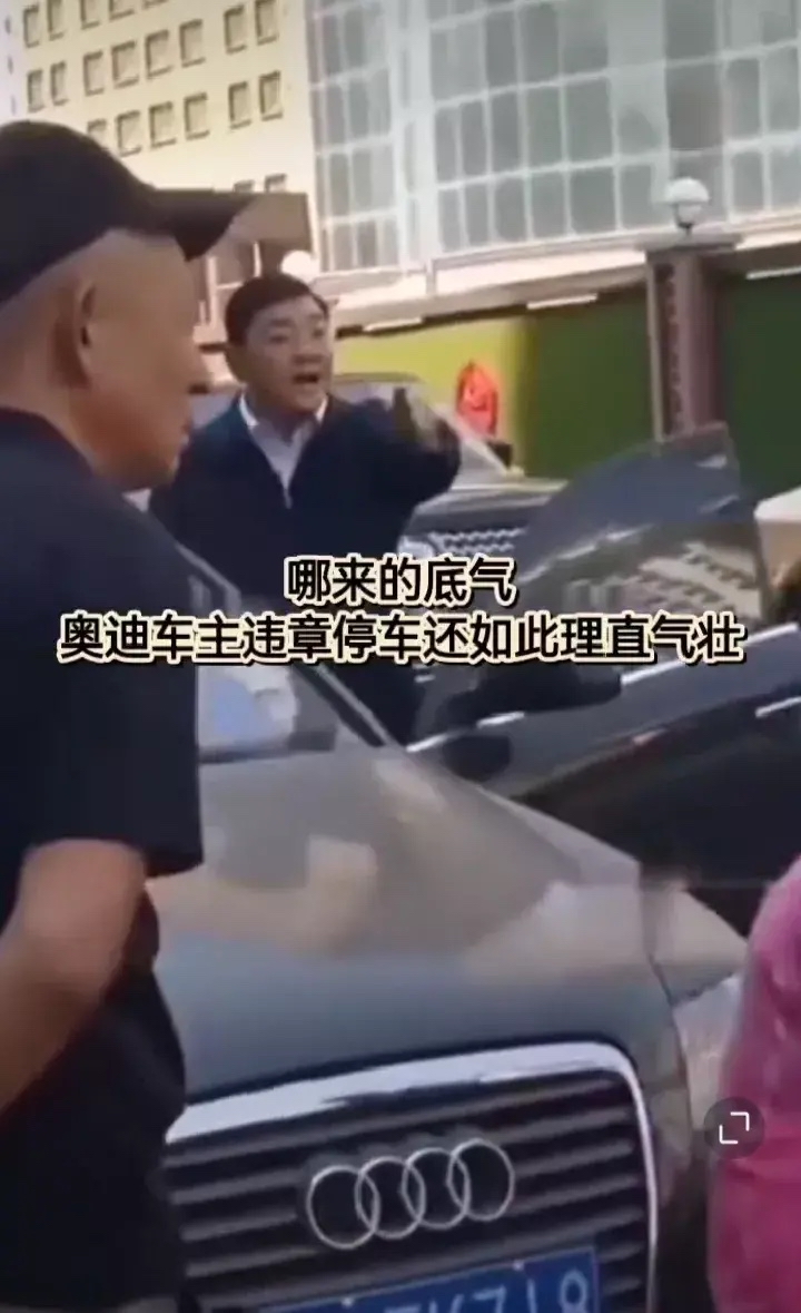 交警处罚违停奥迪遭怼：看给你傲的