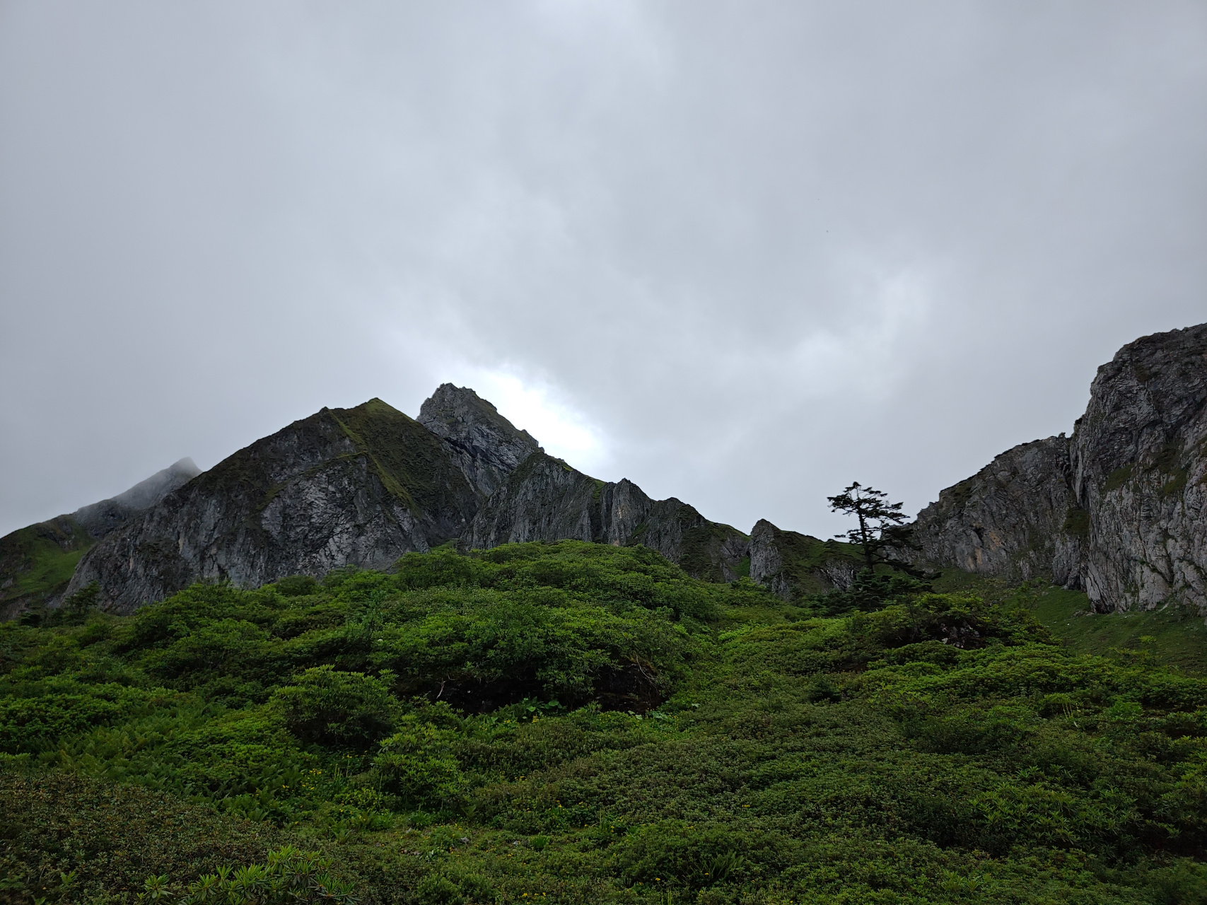 怒江贡山孔雀山