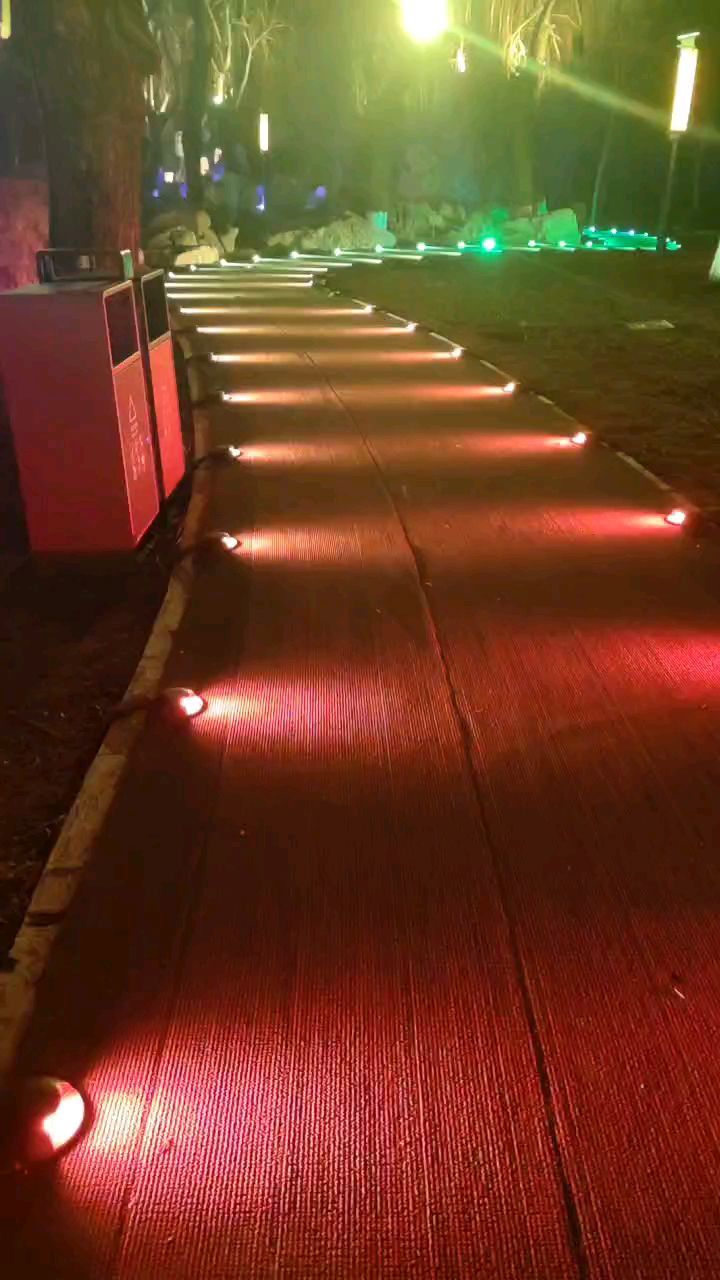 石家庄栾城水镇公园龟背灯灯光效果