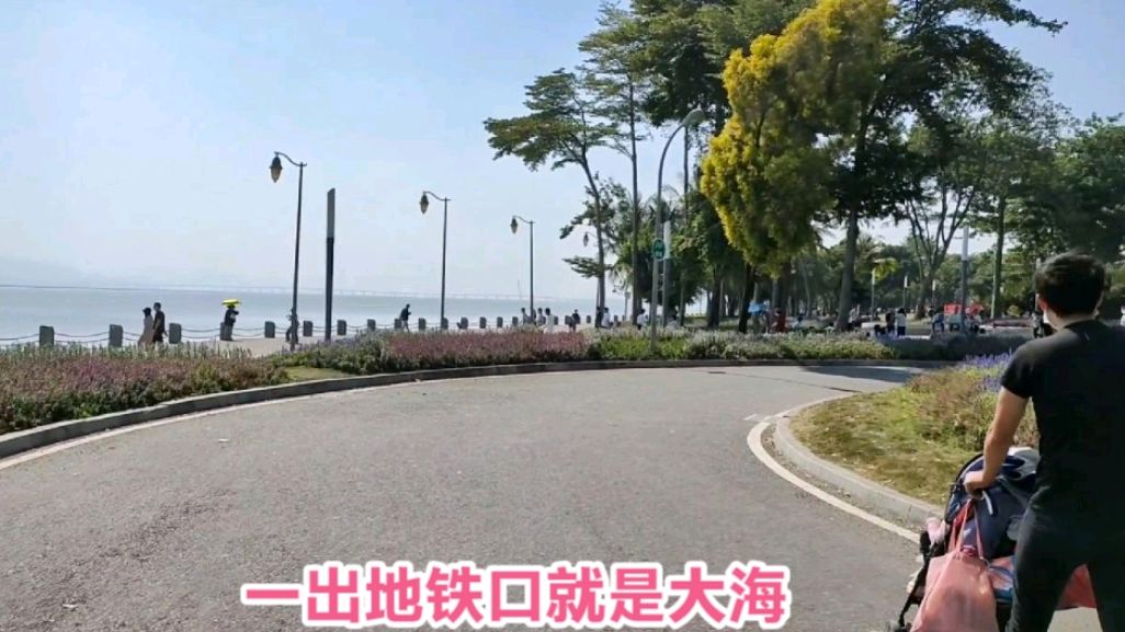 亲子陪娃时间打卡第7站:深圳红树林海滨生态公园,后悔没带吃的