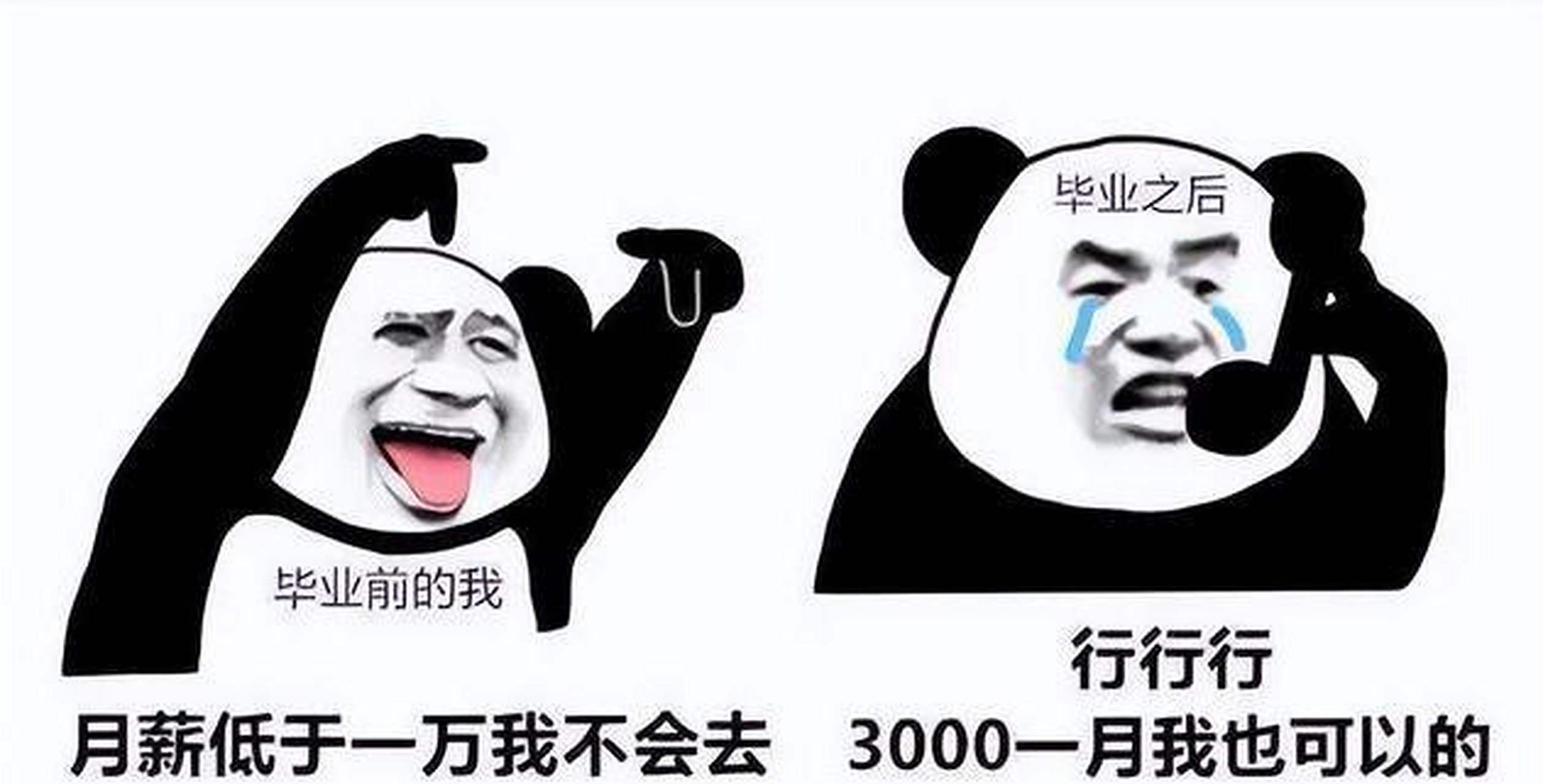 当代大学生就业现状[偷笑][偷笑][偷笑]