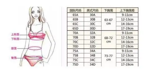 36a胸围是多少cm