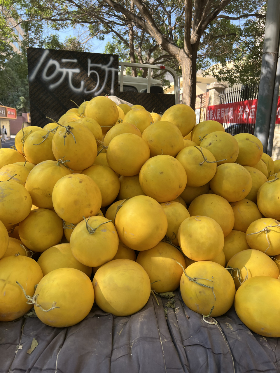 最近全国各地的各大网红,都在抖音上卖甘肃民勤蜜瓜.
