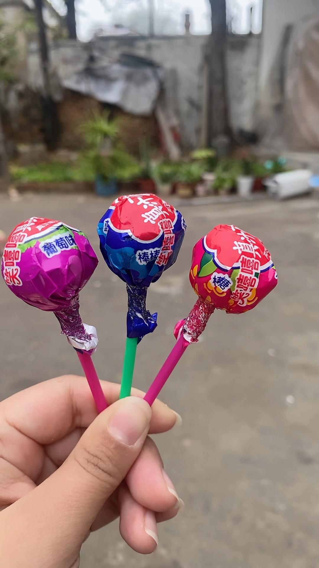 亲子互动游戏,三个棒棒糖我一个都没有了