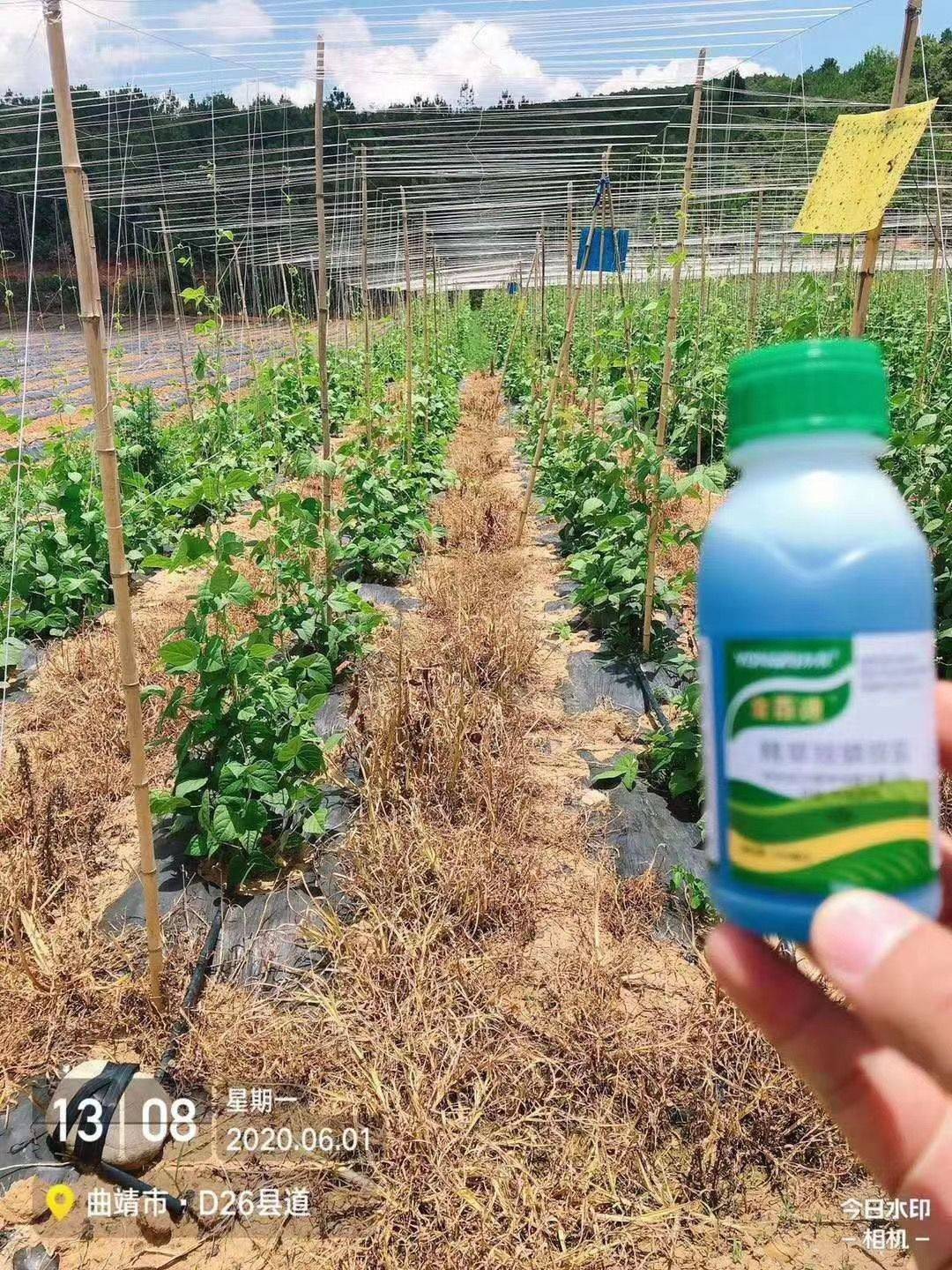 精草铵膦对土壤的危害,看了就知道