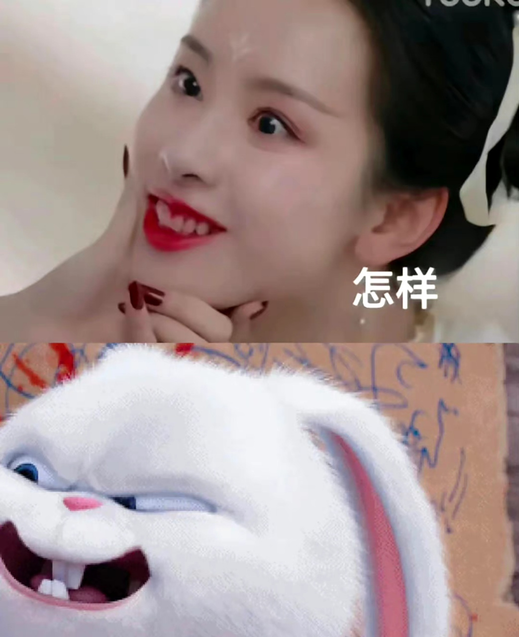 陈都灵怎么这么像兔兔?