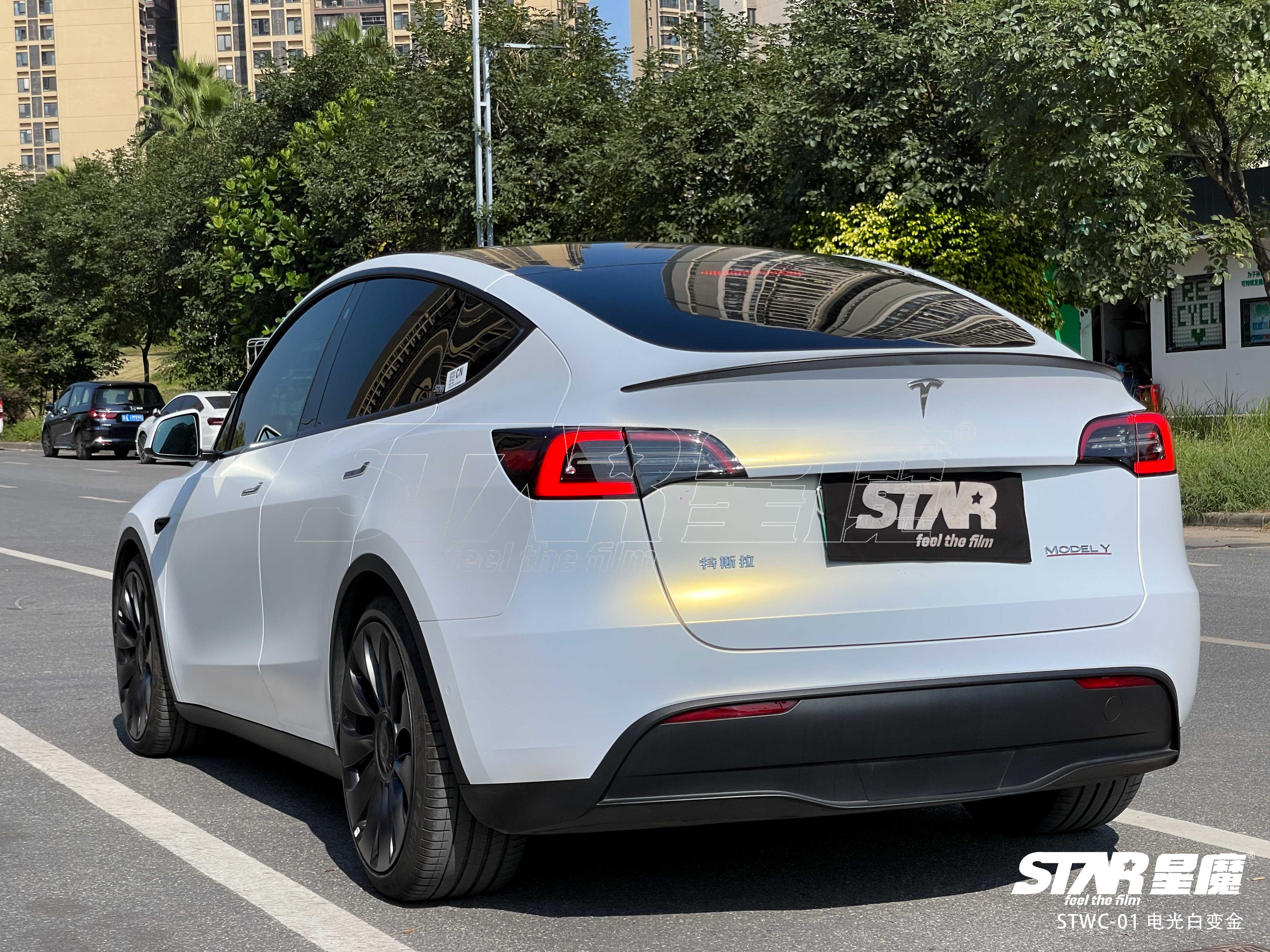 model y 电光白变金