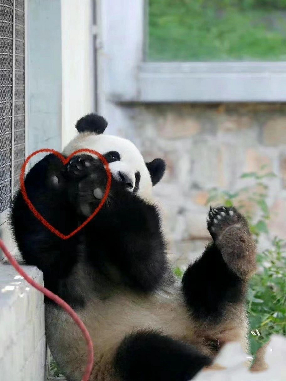 萌兰 么么儿的比心7315大作战