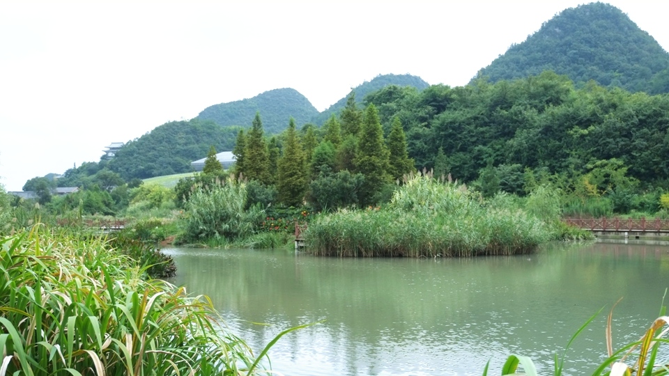 贵州十里河滩湿地公园风景