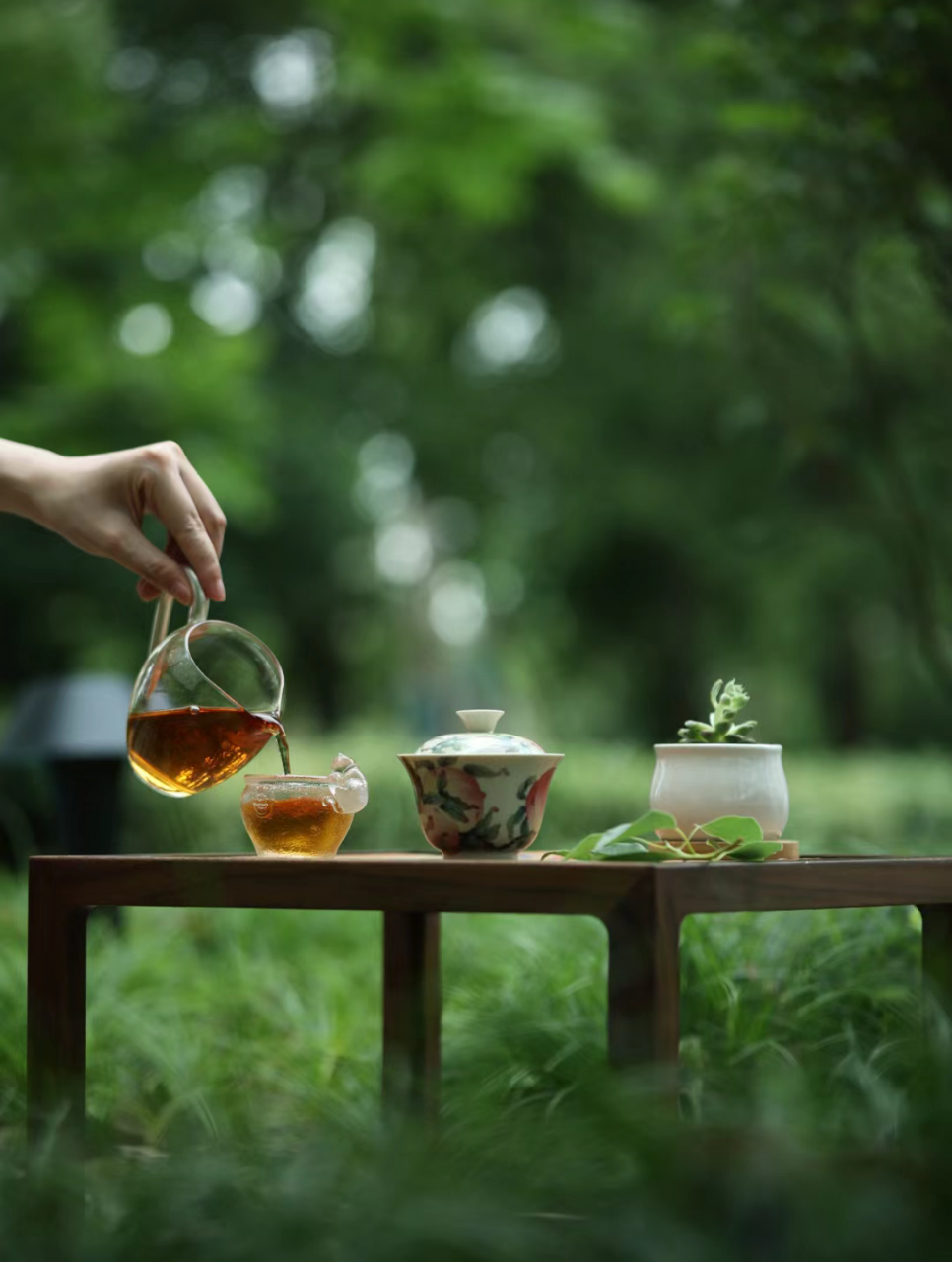 泡茶如经历生活:从沸腾到平静,每一滴水,每一片茶叶都有其独特的故事.