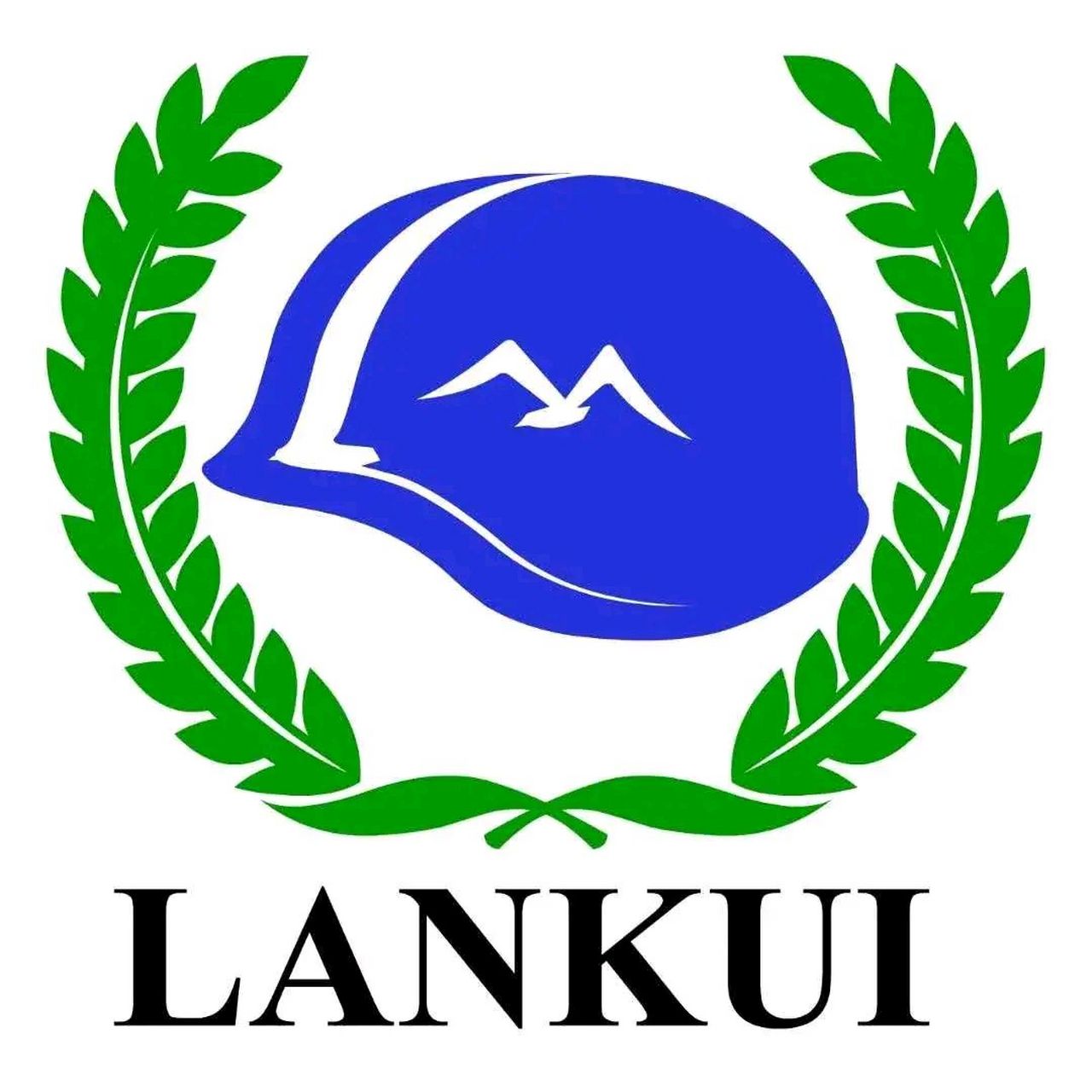 蓝盔是联合国维和部队的标志,中国蓝盔是"建设世界一流军队"走向国际