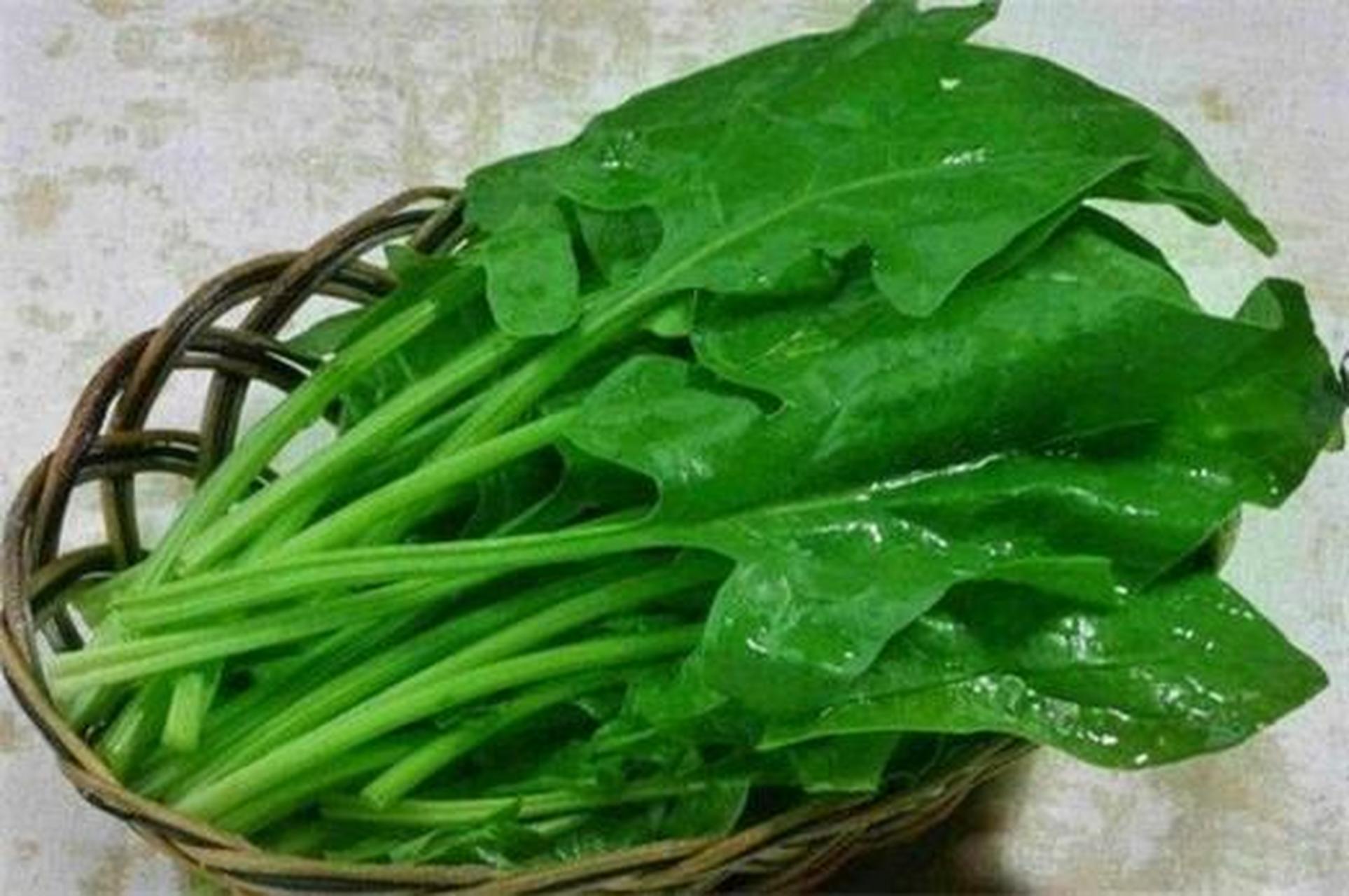 多吃绿叶菜的好处,绿叶菜包括菠菜,香菜,空心菜,红薯叶,莴笋叶等,种类
