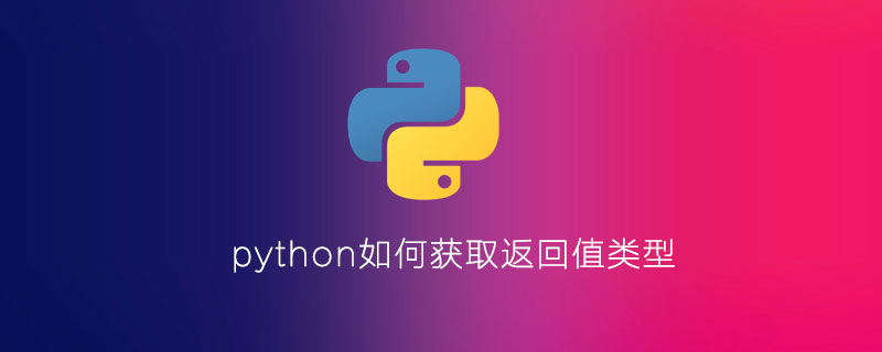 python如何获取返回值类型