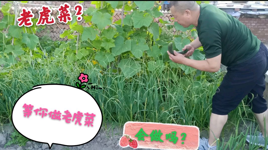 东北名菜“老虎菜”!做法多样食材简单,想学的快来看看吧!
