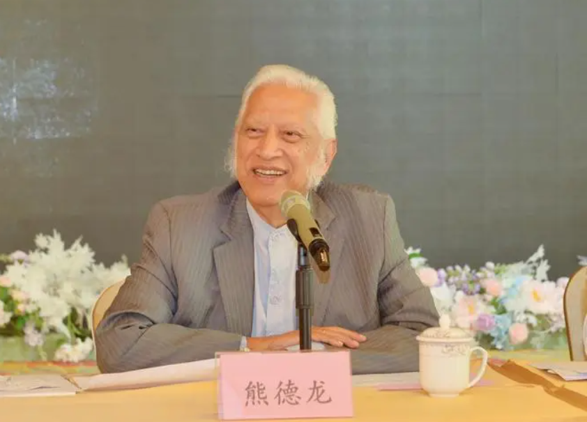 曾经的外国弃婴熊德龙,成为总裁之后却想着衣锦还乡报答中国