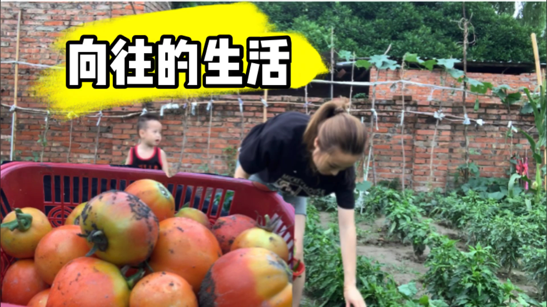 绵阳农家小菜园 种了各种各样蔬菜应有尽有 这样的生活你喜欢吗?
