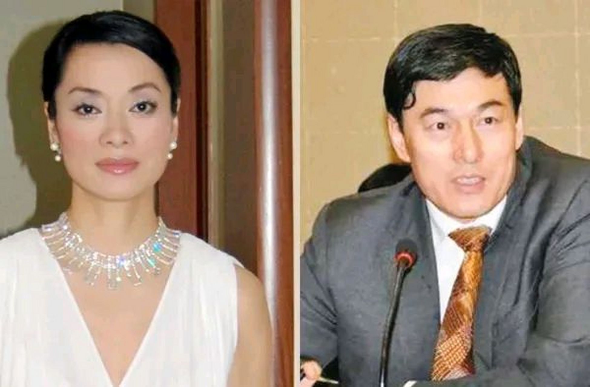 前几年,商业巨头解直锟去世后,他的伴侣毛阿敏作为继承人,选择放弃了