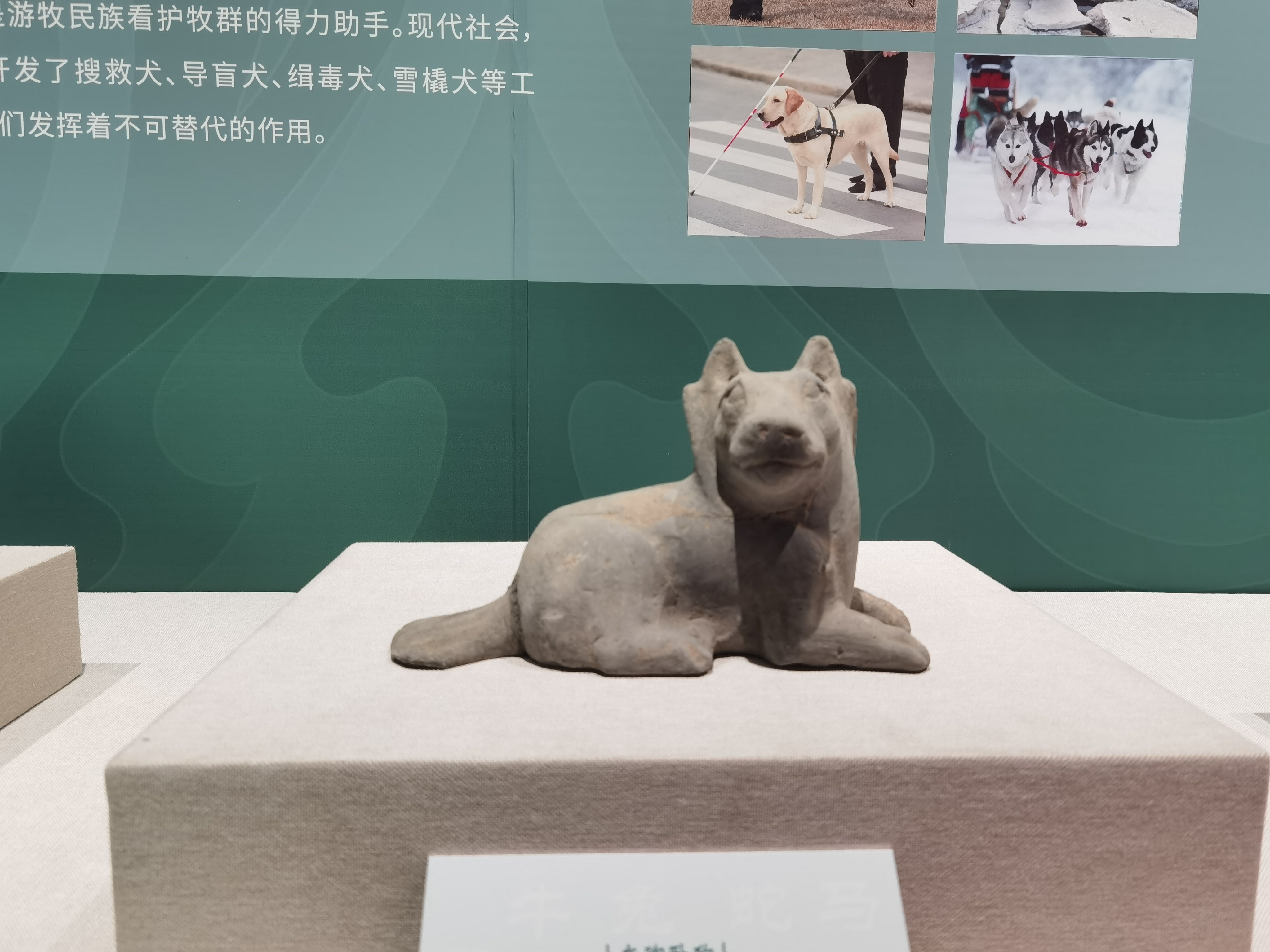深圳博物馆历史民俗馆