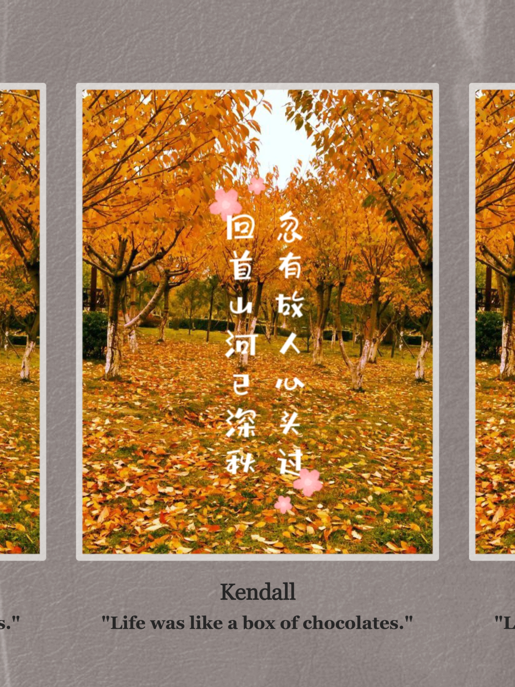 深秋悟语忽有故人心头过,回首山河已深秋;落花不言轻辞树,流光无声悄