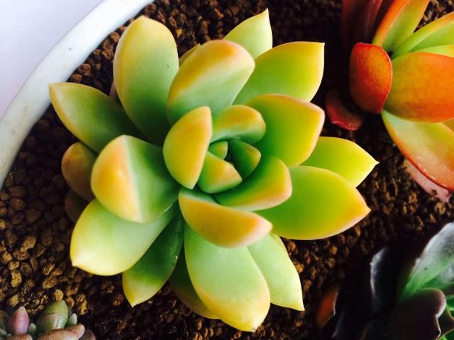 沙郎嘿告白日记第44话漫画沙郎嘿告白日记第44话漫画全集免费阅读 动漫画