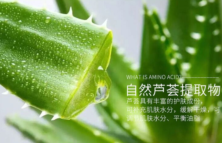 芦荟按摩洁面,芦荟提取物,感人温和力,小小按摩刷头内含大学问