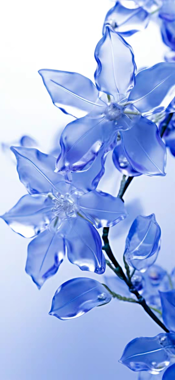 ai花卉壁纸 一朵花,艳丽春,浓墨夏,淡雅秋,染了雪枝头