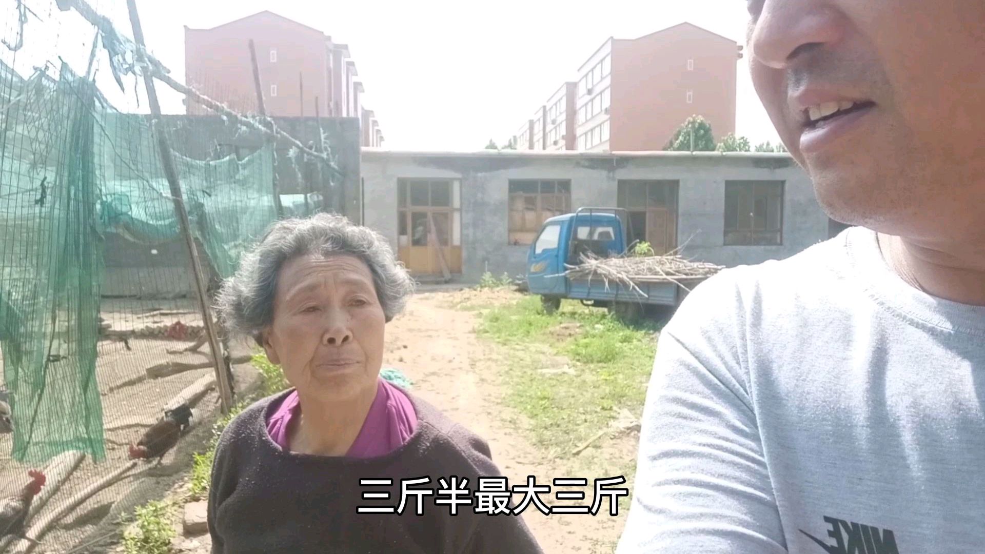 大娘养的红公鸡卖掉了大部分大娘来总结