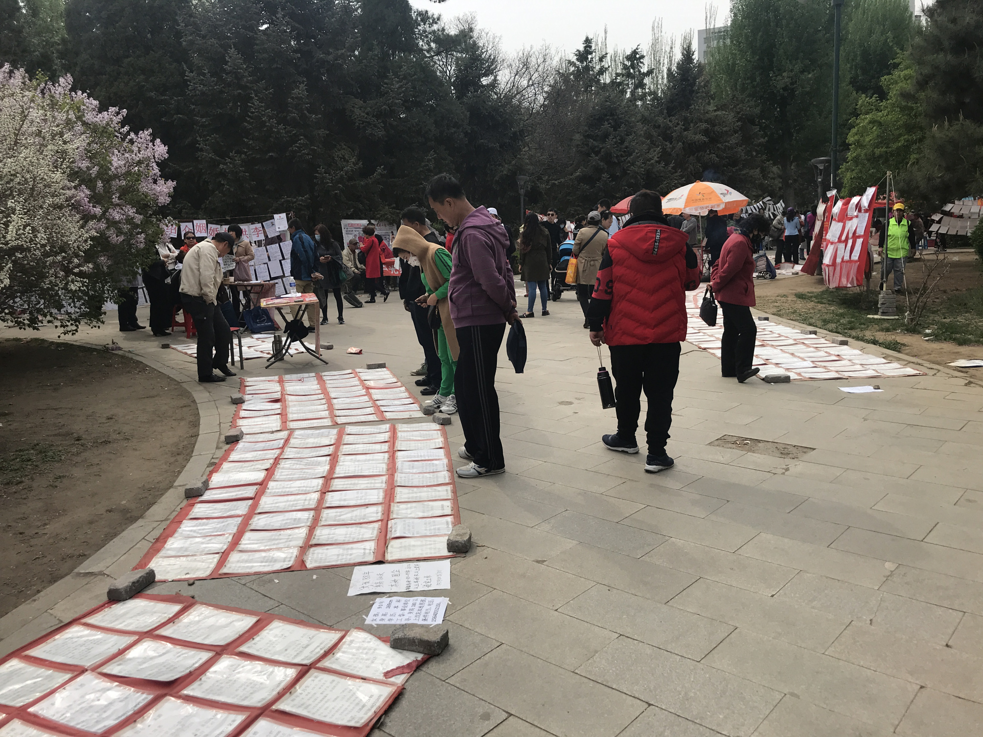 瀋陽南湖公園成