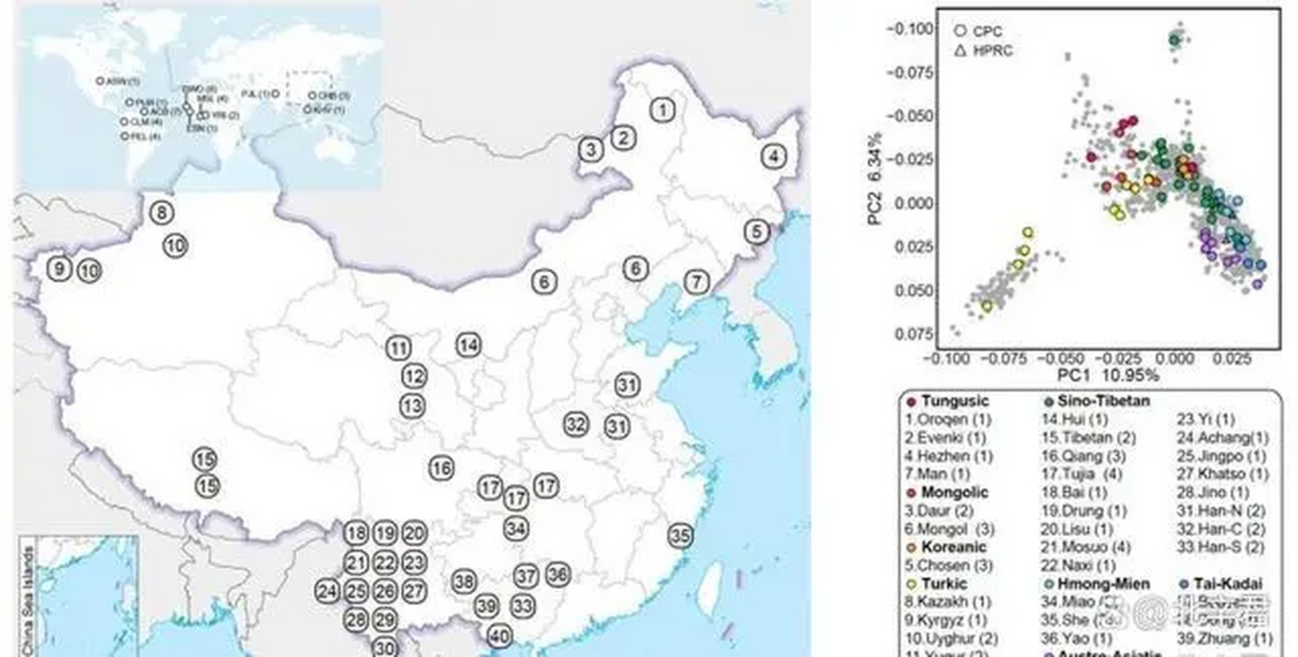 中國人的泛基因圖譜有多重要?