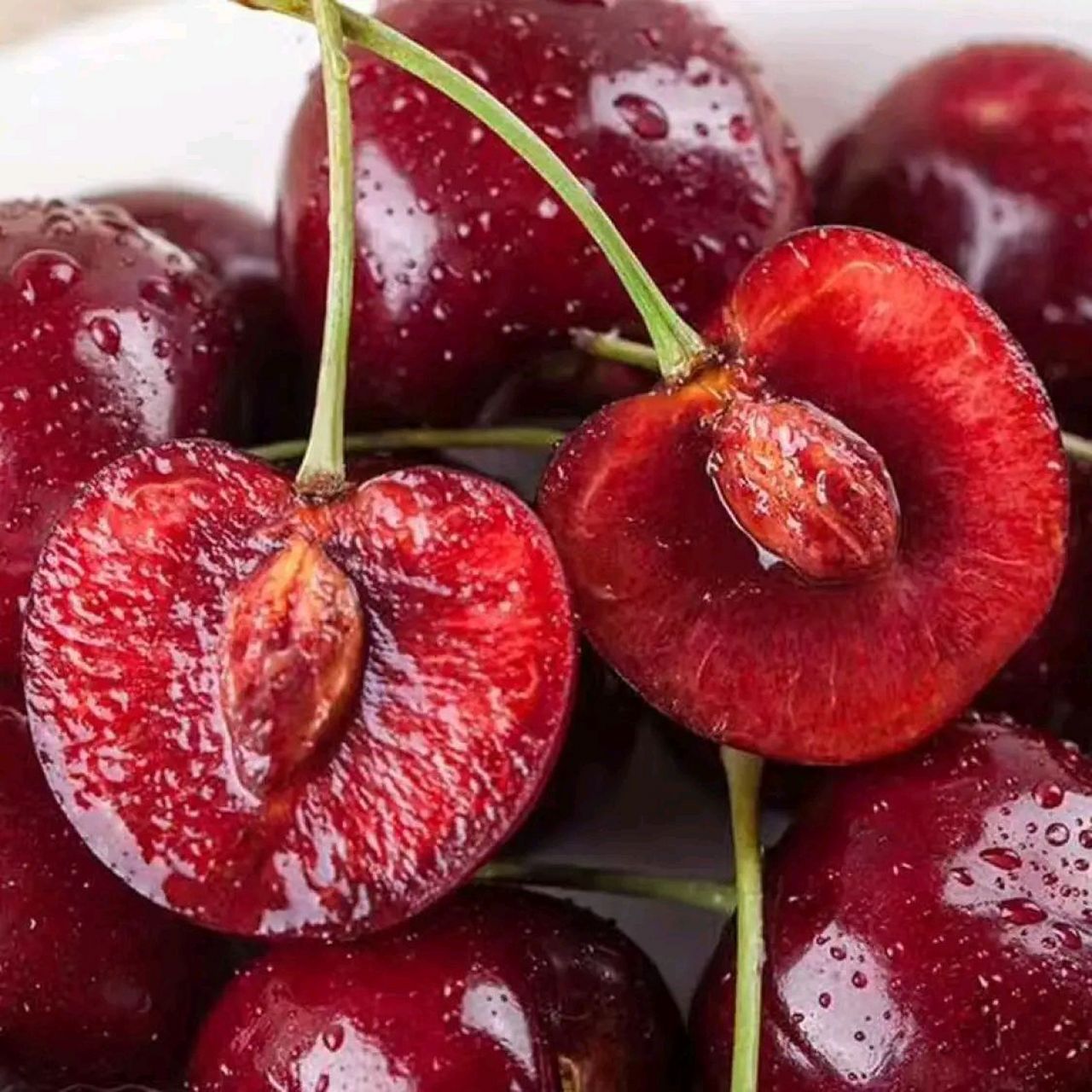 预售发车99——  【00jd旗舰店】山东美早大樱桃国产车厘子3