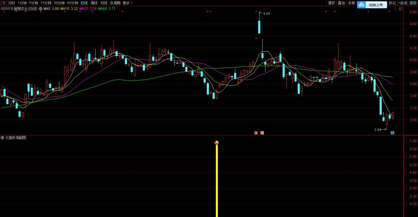 大鱼跃海指标公式「副图/选股」相对低位底部出信号