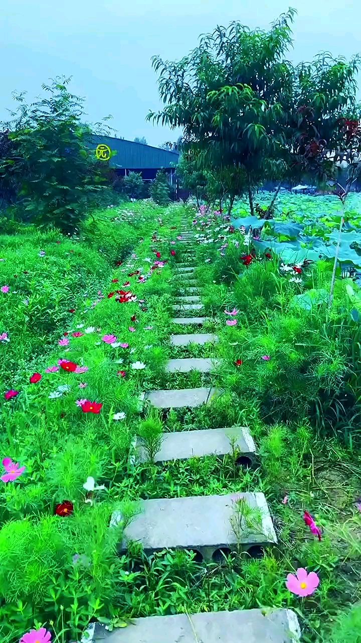 开满鲜花的小路简单图片