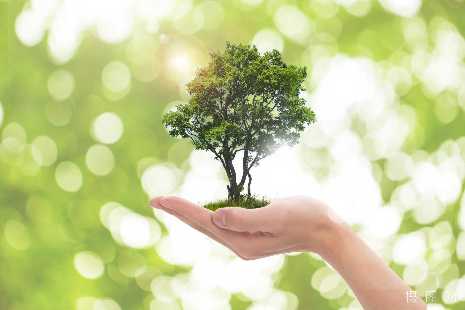 "种一棵树最好的时间是十年前,其次是现在.