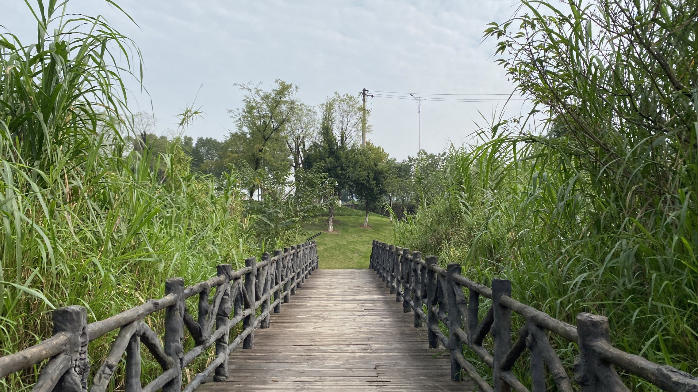 重庆金凤花房子湿地公园是一个集休闲,观光,游玩于一体的综合性公园.