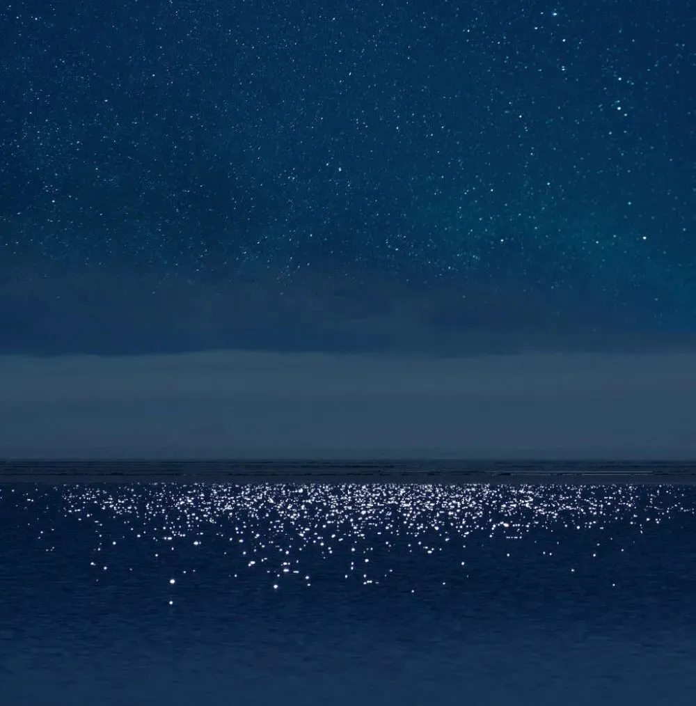 "高级背景图|如果那一天野花疯长 那便是我在讲"