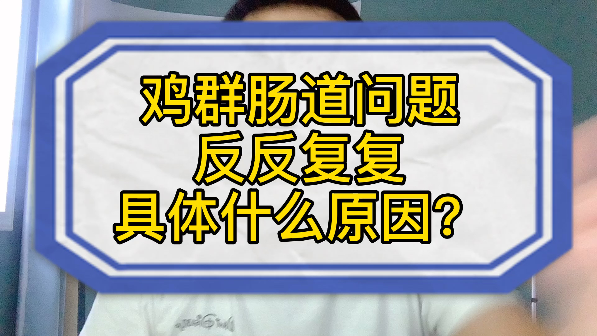 鸡群肠道问题反复发作,具体是什么原因?