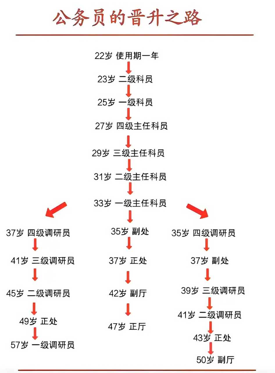 公务员职级晋升图图片