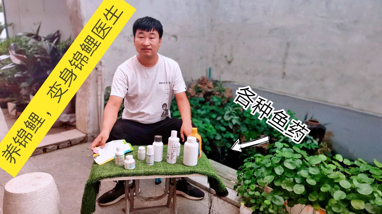 小伙变身锦鲤医生,拿出来了一箱子鱼药,鱼友都有哪些呢