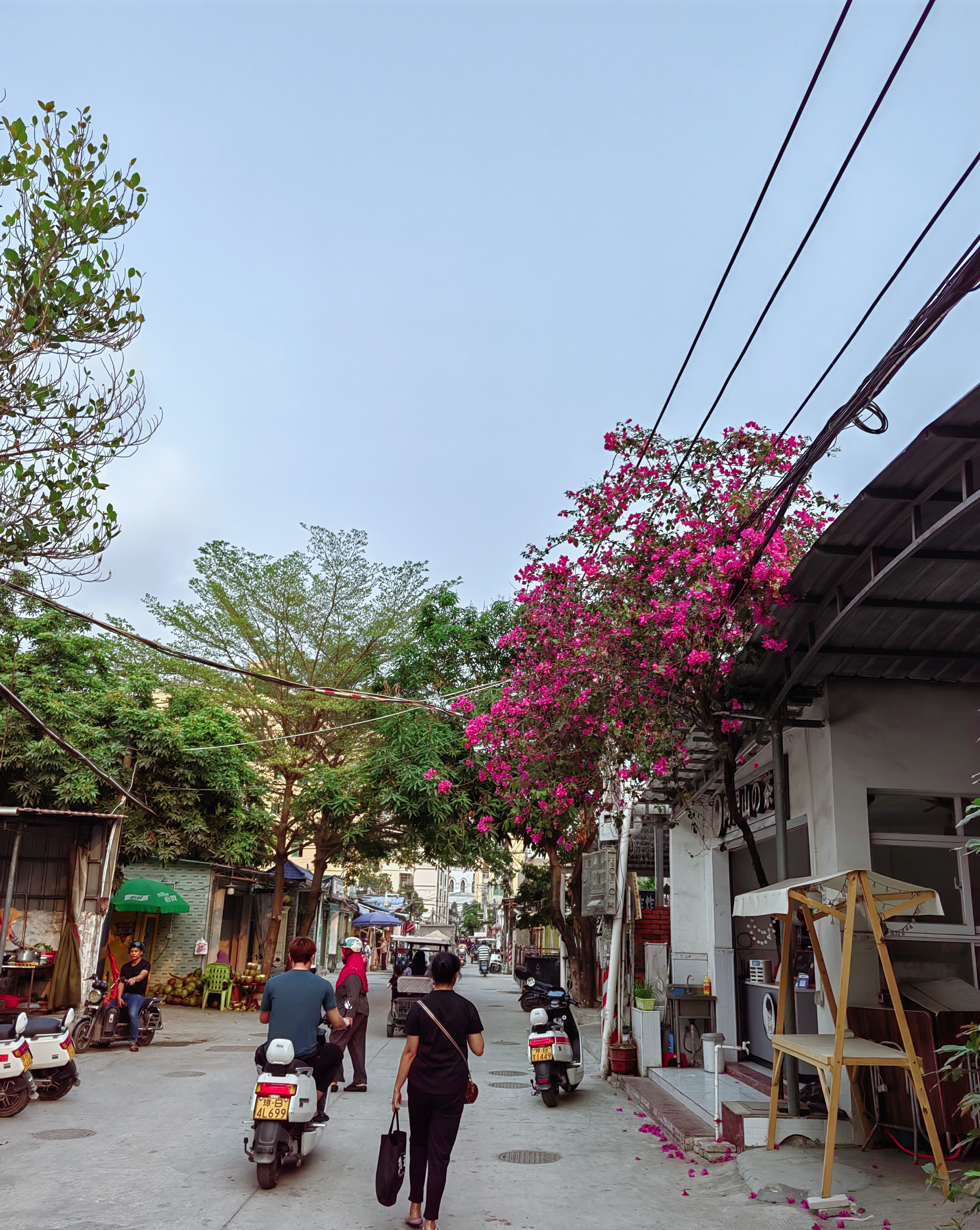 三亚特色村庄—回新村