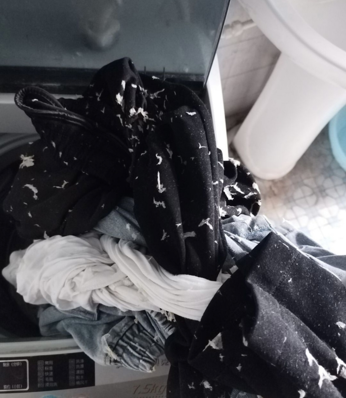 在网上刷到说 把卫生纸放到洗衣机里 可以吸收灰尘 结果