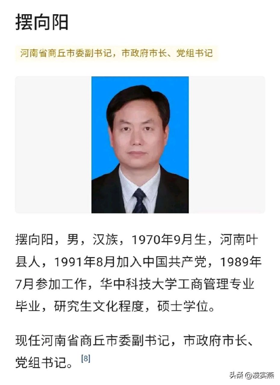 商丘市长摆向阳,一夕之间天下扬.