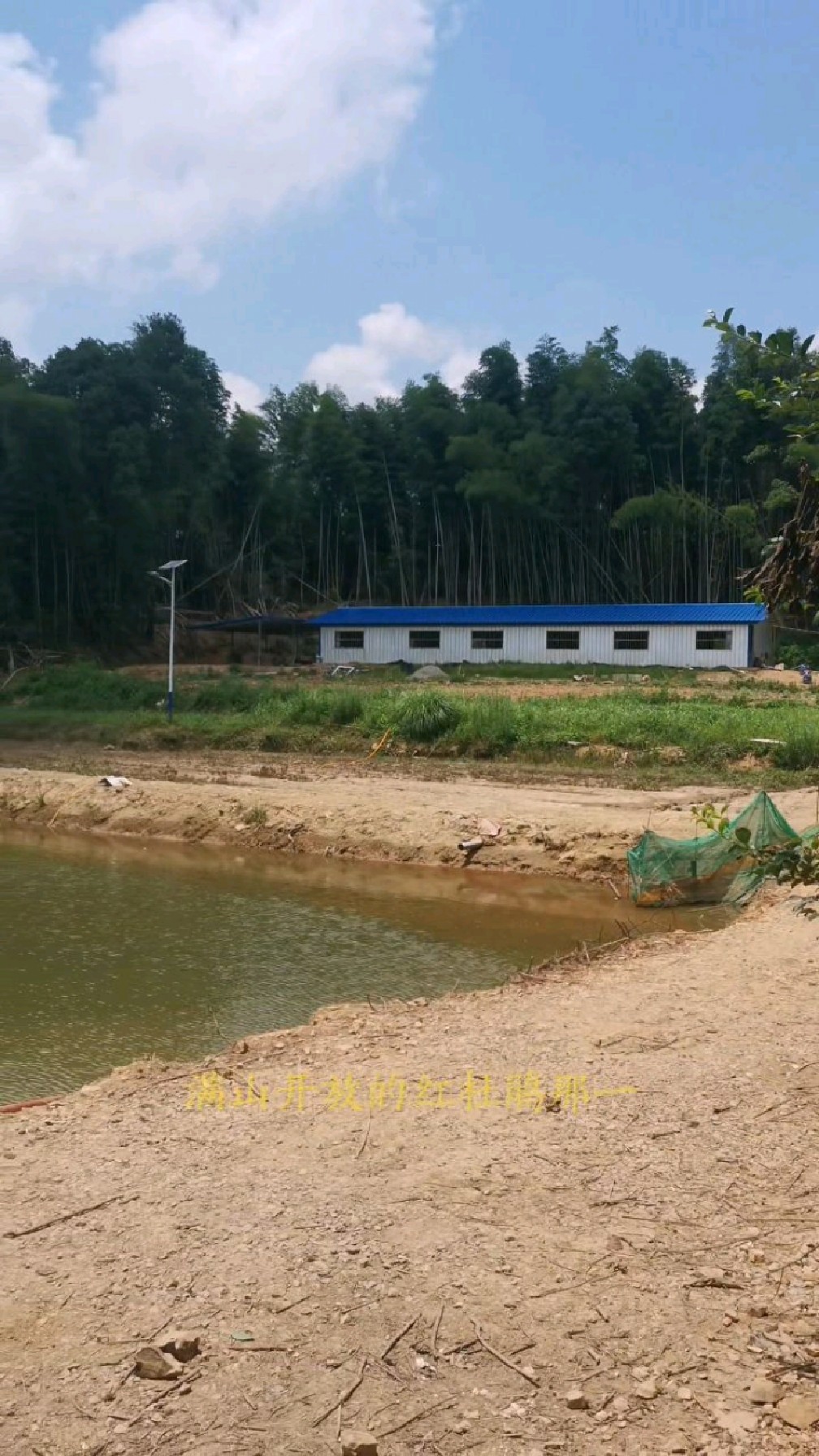 参观朋友综合养殖基地,养鸡,养猪,养鱼,养羊,养野鸭-度小视