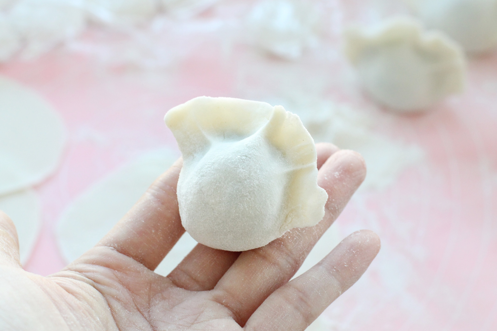 冬至节气要到了,用鱼肉包饺子,鲜美营养一点也不腥,全家都喜欢