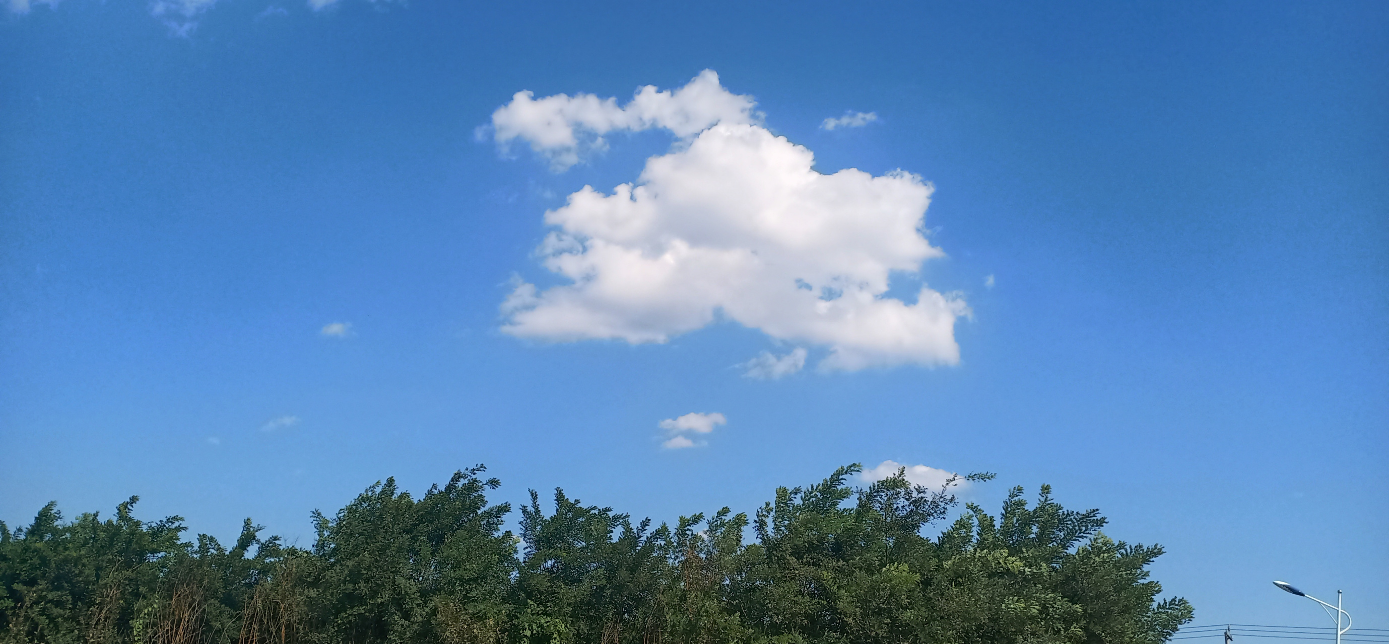 北方的秋天,天高云阔.湛蓝的天空上飘着几朵白云,秋风吹过,树叶沙沙作