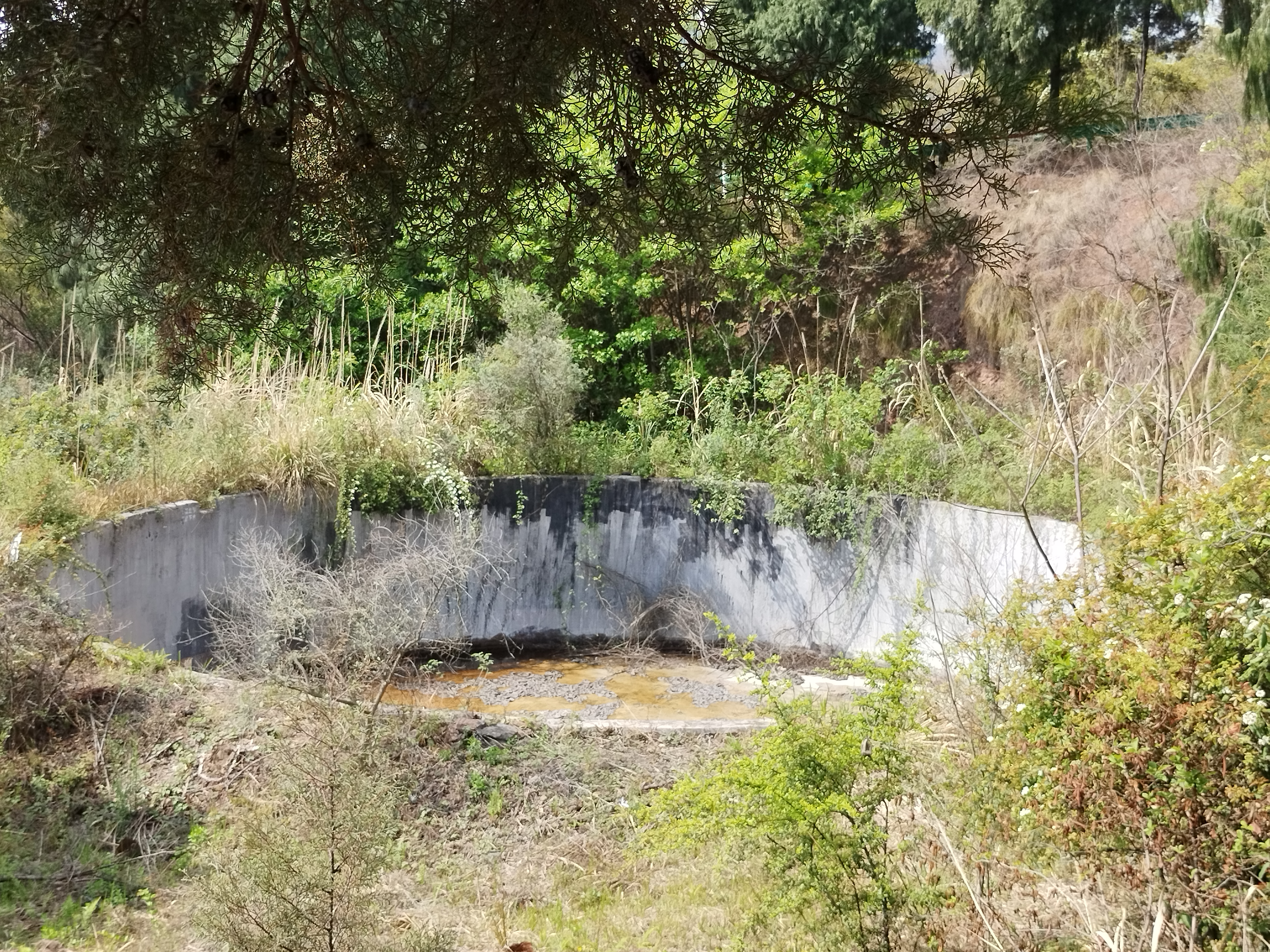 龙泉山上大池子,用途是这个