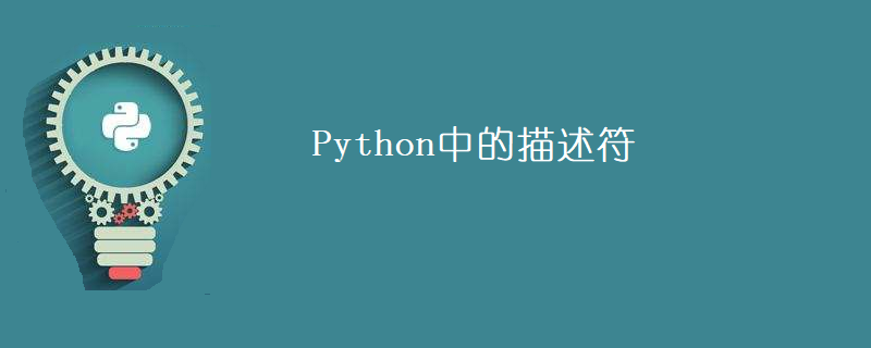 Python 中的描述符