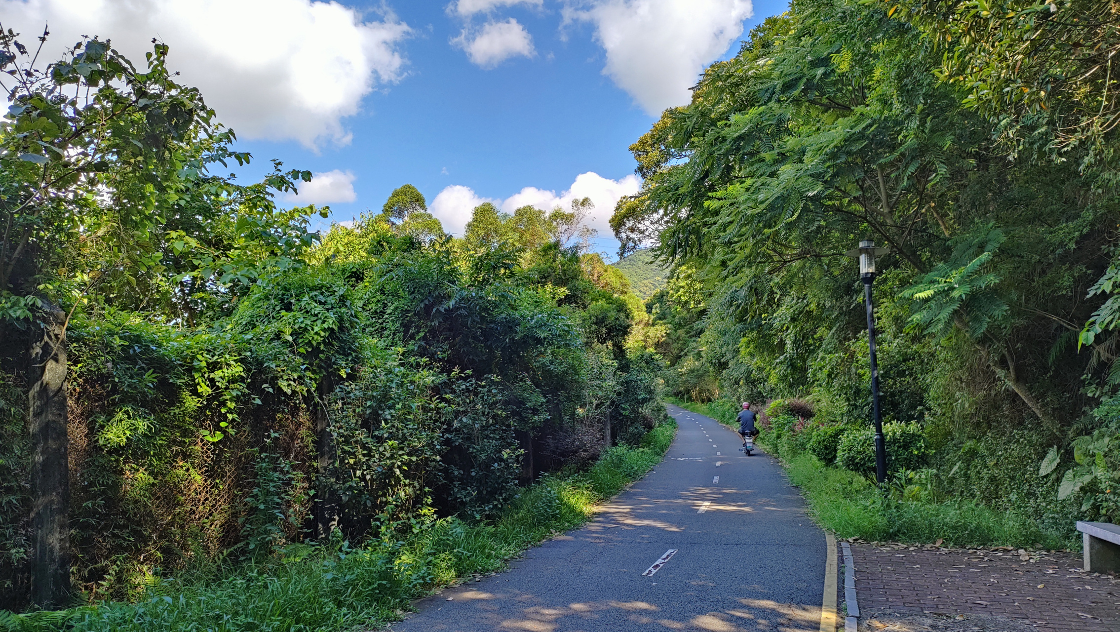 深圳龙岗西坑绿道