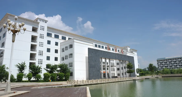 武鸣大学城有哪些学校