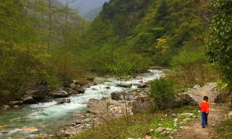 四川雅安寶興縣旅遊景點